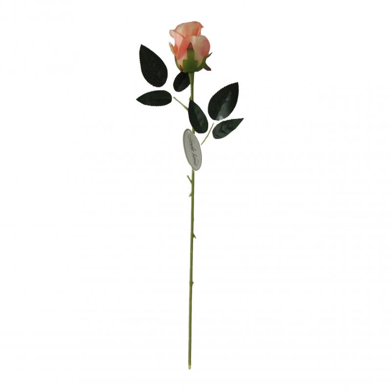 RÓŻA herbaciana - 53cm długości