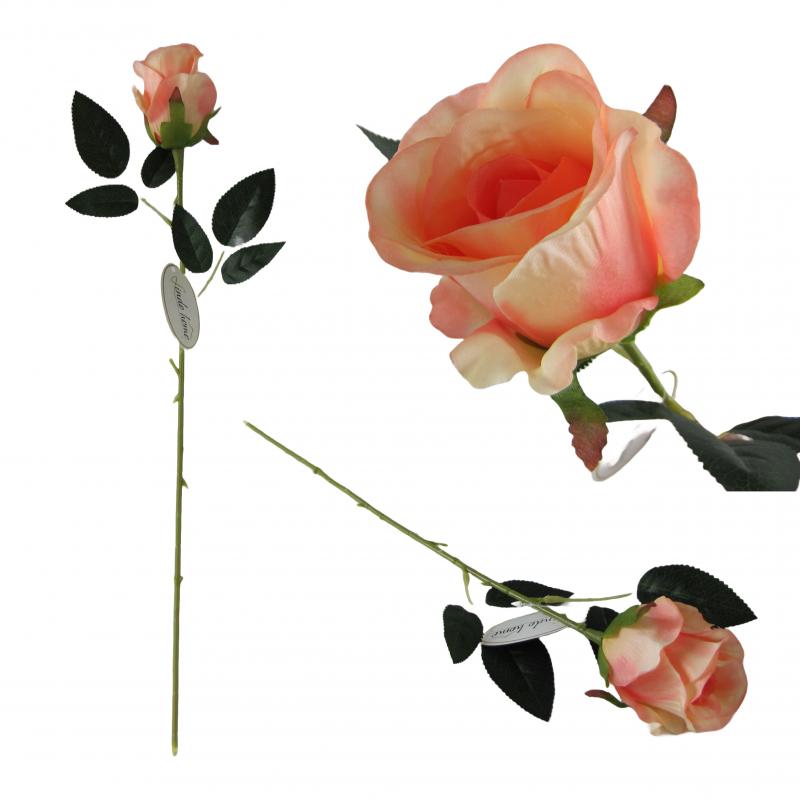 RÓŻA herbaciana - 53cm długości