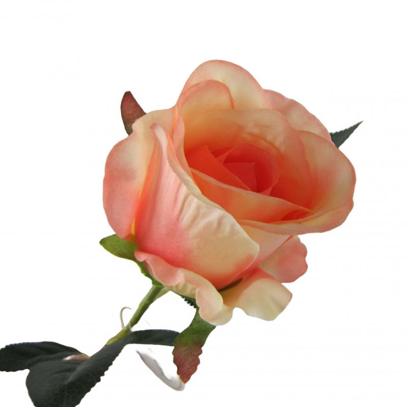 RÓŻA herbaciana - 53cm długości