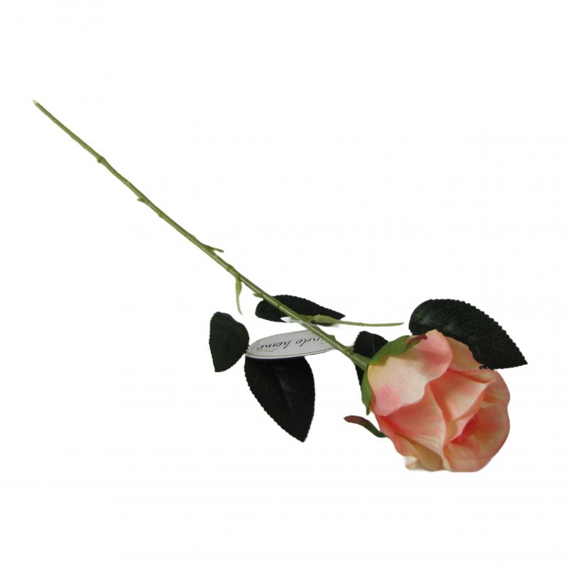 RÓŻA herbaciana - 53cm długości
