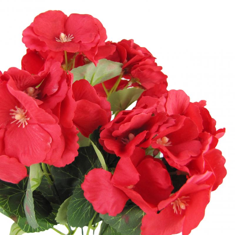 Pelargonie bukiet 32cm kolor kwiatów czerwony