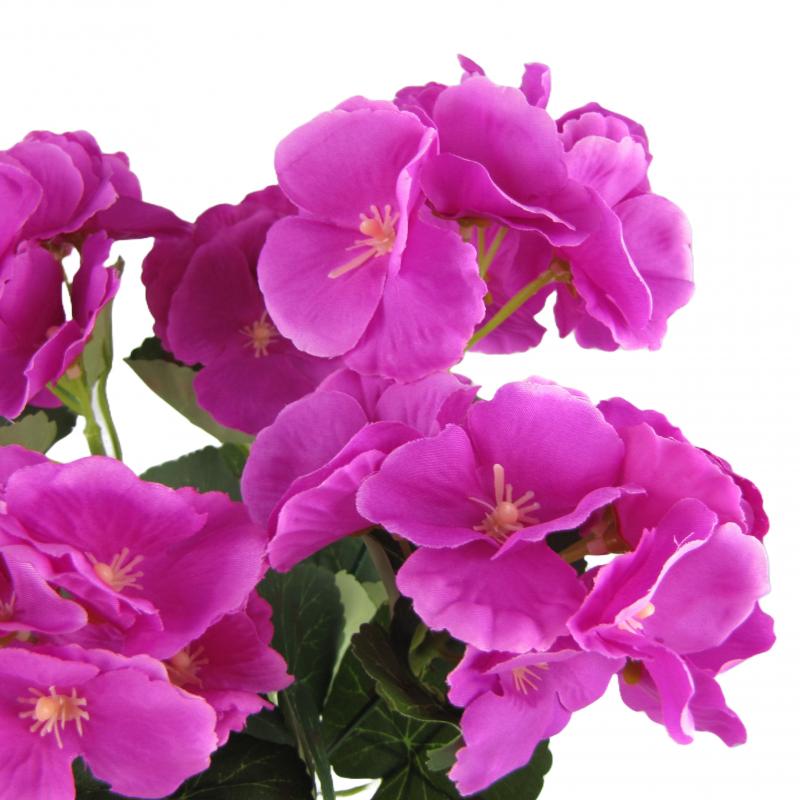Pelargonie bukiet 32cm kolor kwiatów fioletowy